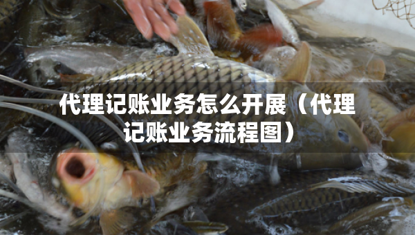 代理記賬業(yè)務怎么開展（代理記賬業(yè)務流程圖）
