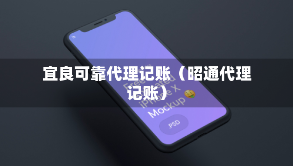 宜良可靠代理記賬（昭通代理記賬）