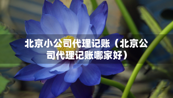北京小公司代理記賬（北京公司代理記賬哪家好）