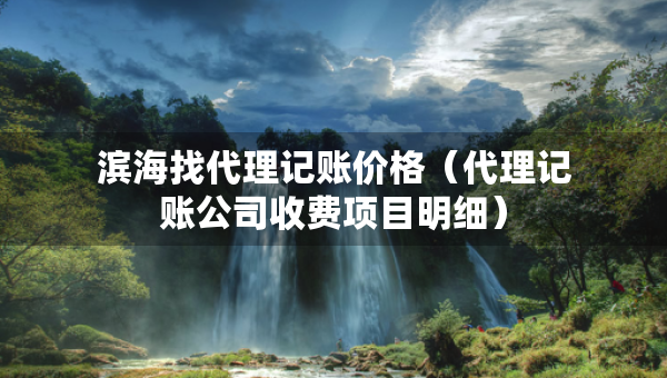 濱海找代理記賬價格（代理記賬公司收費(fèi)項(xiàng)目明細(xì)）