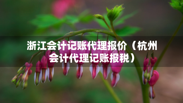 浙江會(huì)計(jì)記賬代理報(bào)價(jià)（杭州會(huì)計(jì)代理記賬報(bào)稅）