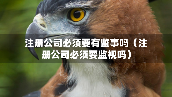 注冊公司必須要有監(jiān)事嗎（注冊公司必須要監(jiān)視嗎）