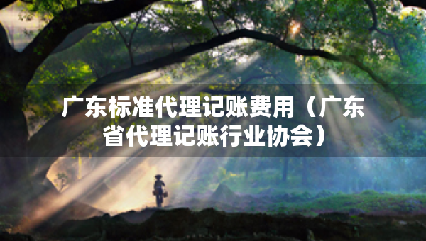 廣東標(biāo)準(zhǔn)代理記賬費(fèi)用（廣東省代理記賬行業(yè)協(xié)會(huì)）