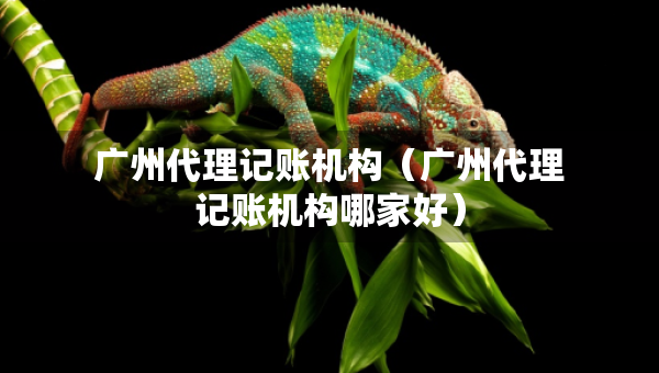 廣州代理記賬機(jī)構(gòu)（廣州代理記賬機(jī)構(gòu)哪家好）