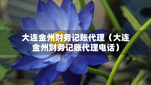 大連金州財(cái)務(wù)記賬代理（大連金州財(cái)務(wù)記賬代理電話）