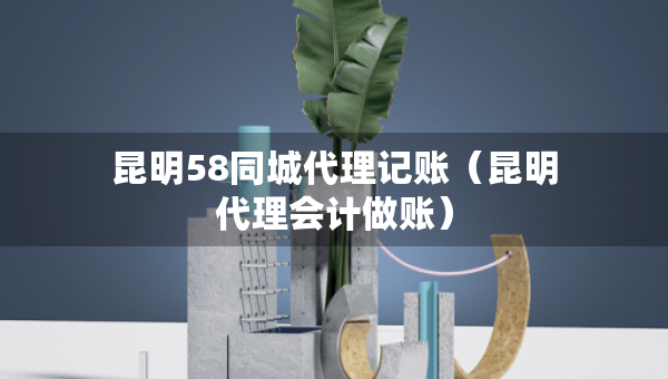 昆明58同城代理記賬（昆明代理會計(jì)做賬）