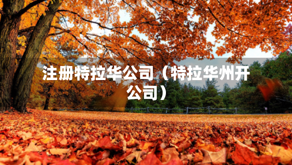 注冊特拉華公司（特拉華州開公司）