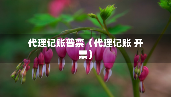 代理記賬普票（代理記賬 開票）