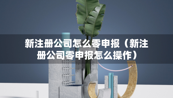 新注冊公司怎么零申報（新注冊公司零申報怎么操作）