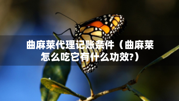 曲麻萊代理記賬條件（曲麻萊怎么吃它有什么功效?）