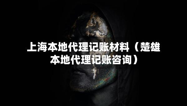 上海本地代理記賬材料（楚雄本地代理記賬咨詢）