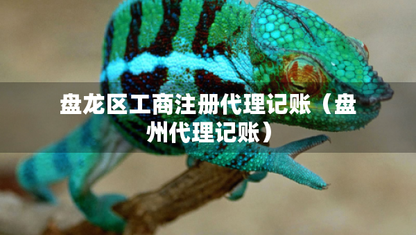 盤龍區(qū)工商注冊代理記賬（盤州代理記賬）