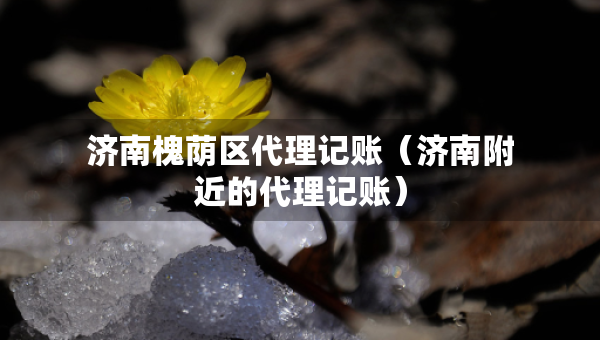 濟南槐蔭區(qū)代理記賬（濟南附近的代理記賬）