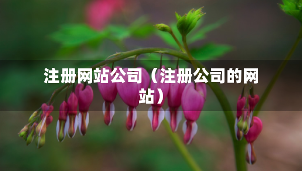 注冊(cè)網(wǎng)站公司（注冊(cè)公司的網(wǎng)站）