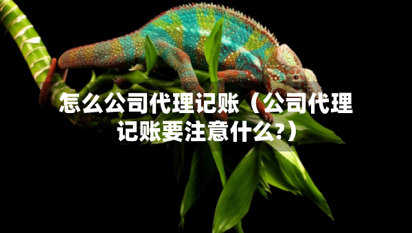 怎么公司代理記賬（公司代理記賬要注意什么?）