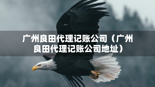廣州良田代理記賬公司（廣州良田代理記賬公司地址）