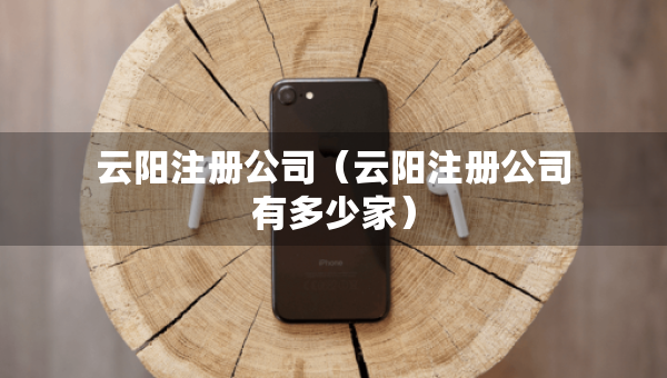 云陽注冊公司（云陽注冊公司有多少家）