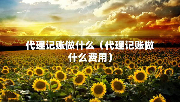 代理記賬做什么（代理記賬做什么費(fèi)用）