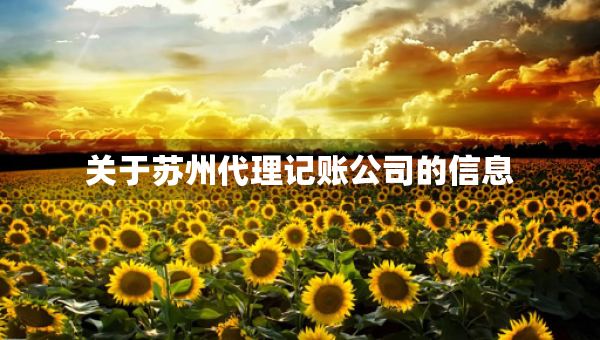 關(guān)于蘇州代理記賬公司的信息
