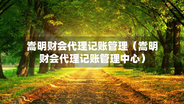 嵩明財(cái)會(huì)代理記賬管理（嵩明財(cái)會(huì)代理記賬管理中心）