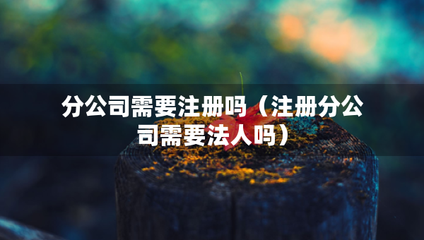 分公司需要注冊(cè)嗎（注冊(cè)分公司需要法人嗎）