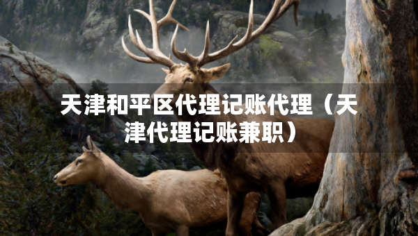 天津和平區(qū)代理記賬代理（天津代理記賬兼職）