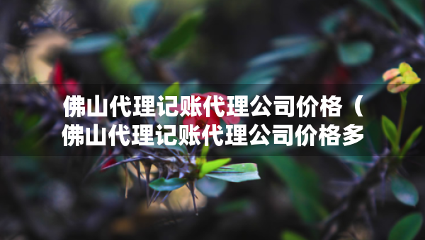 佛山代理記賬代理公司價(jià)格（佛山代理記賬代理公司價(jià)格多少）