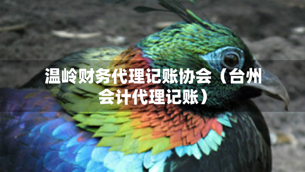 溫嶺財務(wù)代理記賬協(xié)會（臺州會計代理記賬）