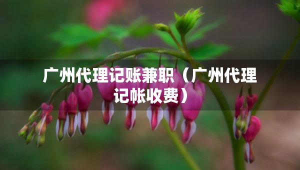 廣州代理記賬兼職（廣州代理記帳收費(fèi)）