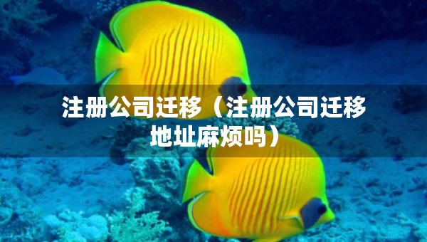 注冊公司遷移（注冊公司遷移地址麻煩嗎）