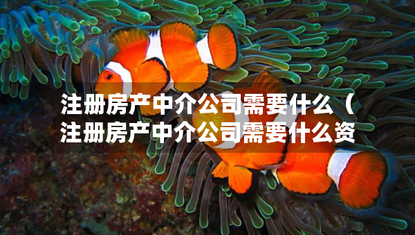 注冊房產中介公司需要什么（注冊房產中介公司需要什么資質證書）