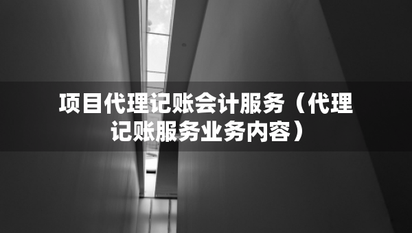 項(xiàng)目代理記賬會計(jì)服務(wù)（代理記賬服務(wù)業(yè)務(wù)內(nèi)容）
