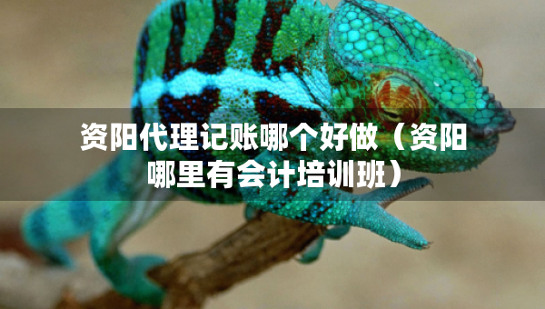 資陽代理記賬哪個好做（資陽哪里有會計培訓(xùn)班）