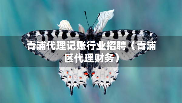 青浦代理記賬行業(yè)招聘（青浦區(qū)代理財(cái)務(wù)）