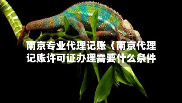 南京專業(yè)代理記賬（南京代理記賬許可證辦理需要什么條件）
