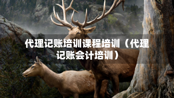 代理記賬培訓課程培訓（代理記賬會計培訓）