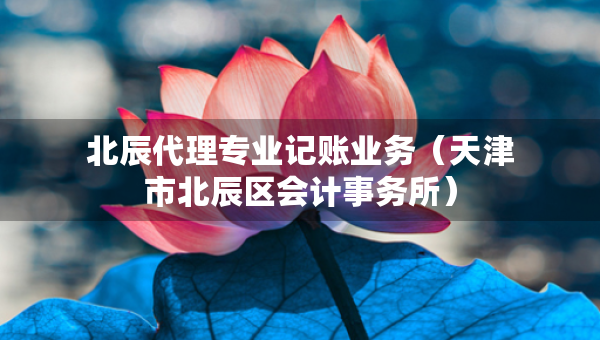 北辰代理專業(yè)記賬業(yè)務（天津市北辰區(qū)會計事務所）