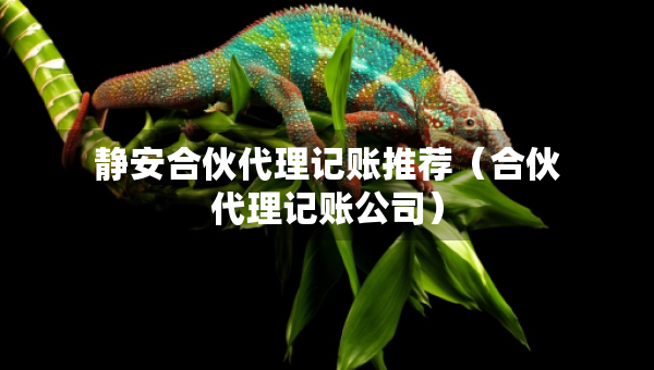 靜安合伙代理記賬推薦（合伙代理記賬公司）