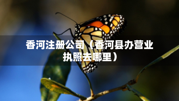 香河注冊(cè)公司（香河縣辦營(yíng)業(yè)執(zhí)照去哪里）