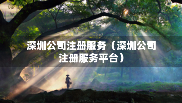 深圳公司注冊(cè)服務(wù)（深圳公司注冊(cè)服務(wù)平臺(tái)）
