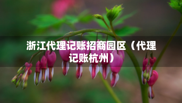 浙江代理記賬招商園區(qū)（代理記賬杭州）