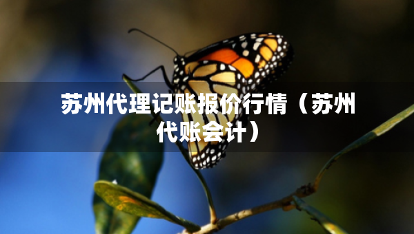 蘇州代理記賬報價行情（蘇州代賬會計）