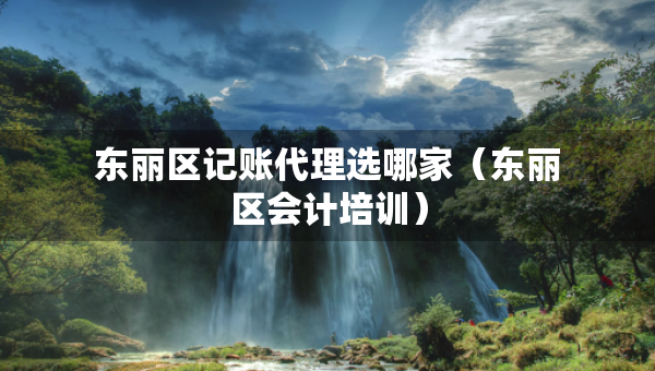 東麗區(qū)記賬代理選哪家（東麗區(qū)會計培訓）