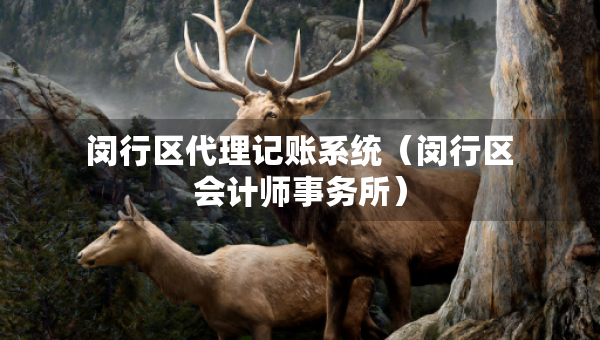 閔行區(qū)代理記賬系統(tǒng)（閔行區(qū)會(huì)計(jì)師事務(wù)所）