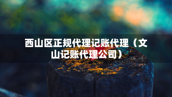 西山區(qū)正規(guī)代理記賬代理（文山記賬代理公司）