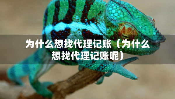 為什么想找代理記賬（為什么想找代理記賬呢）