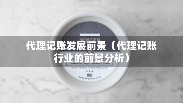 代理記賬發(fā)展前景（代理記賬行業(yè)的前景分析）