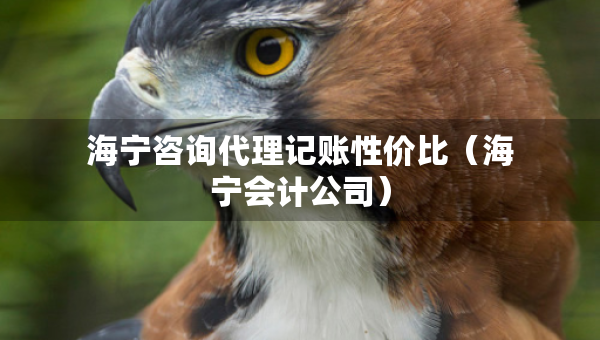 海寧咨詢代理記賬性價(jià)比（海寧會(huì)計(jì)公司）