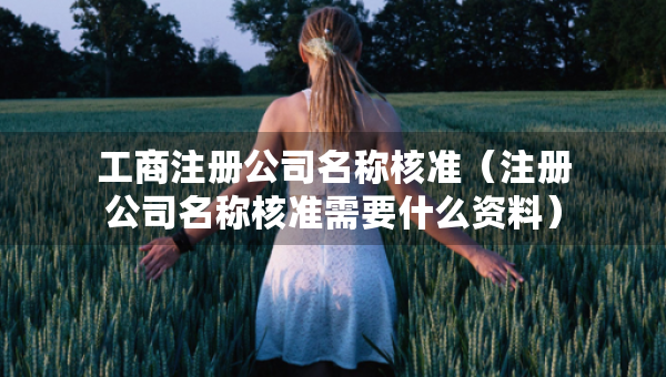 工商注冊(cè)公司名稱(chēng)核準(zhǔn)（注冊(cè)公司名稱(chēng)核準(zhǔn)需要什么資料）