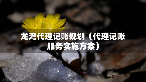 龍灣代理記賬規(guī)劃（代理記賬服務(wù)實(shí)施方案）